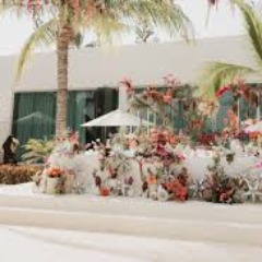Destination Wedding Planner Beaver Creek's profile picture